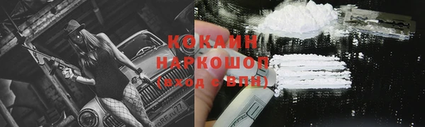 мдпв Няндома