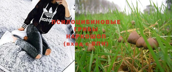 мдпв Няндома
