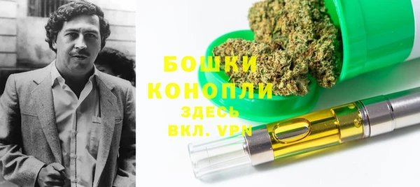 мдпв Няндома