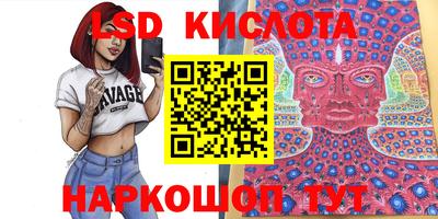 mdma Гатчина