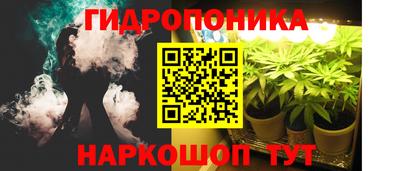mdma Гатчина