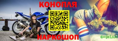 mdma Гатчина