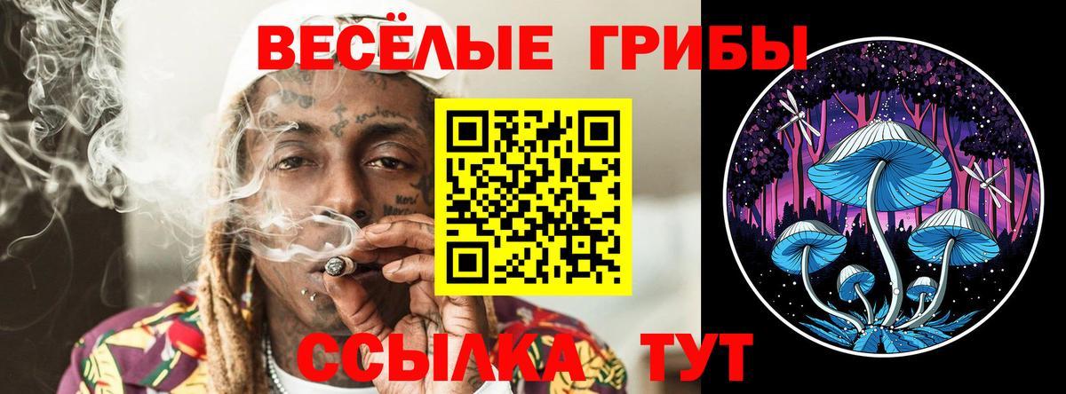 Псилоцибиновые грибы MAGIC MUSHROOMS Иваново