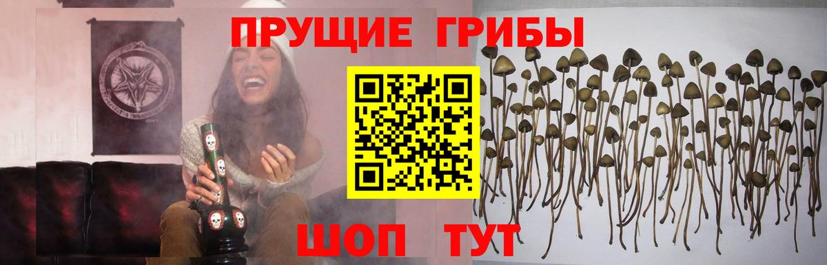 Иваново  Галлюциногенные грибы мицелий  Вход с VPN  Псилоцибиновые грибы мухоморы 